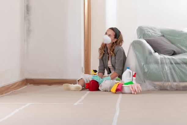 Reliable Mold Remediation contractor in Bayport, MN by WQB Mold Removal